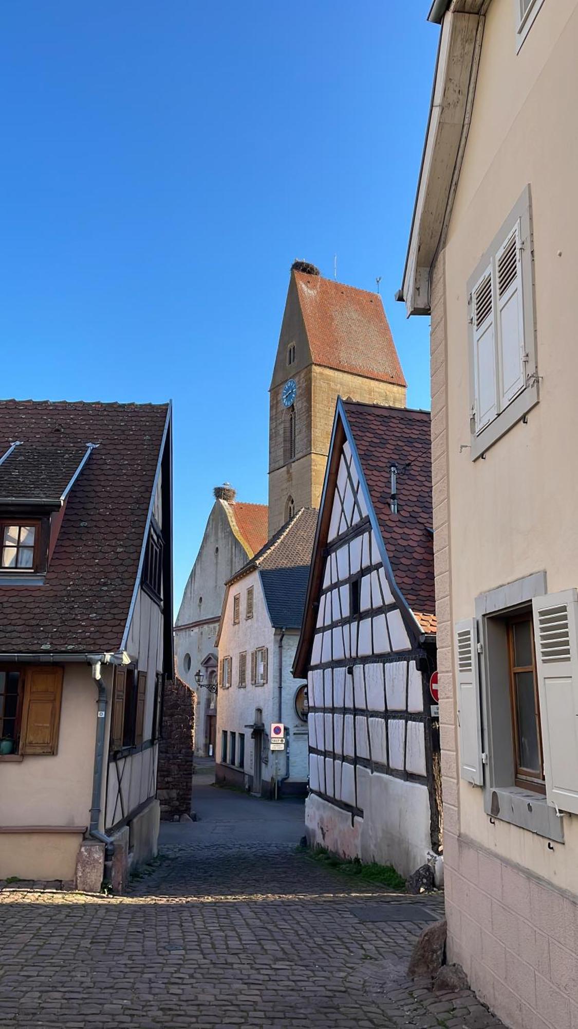 Appartement Le Ch'Ti Alsacien Eguisheim Exteriör bild